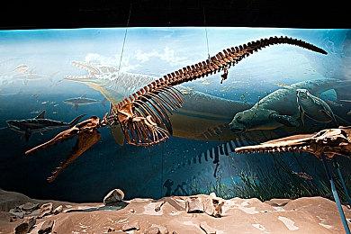 任天堂招聘信息证实Switch2支持定制DLSS技术